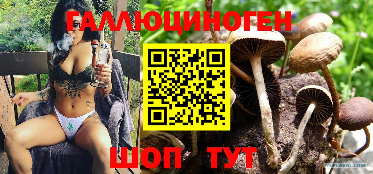 Одинцово  Галлюциногенные грибы Cubensis  Псилоцибиновые грибы Cubensis  Вход с VPN 